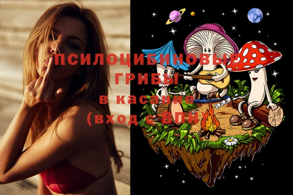 а пвп мука Новозыбков