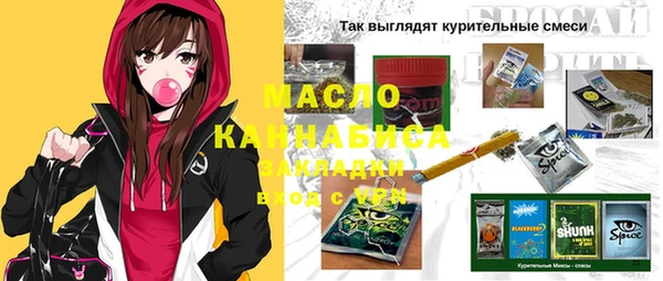сатива Няндома