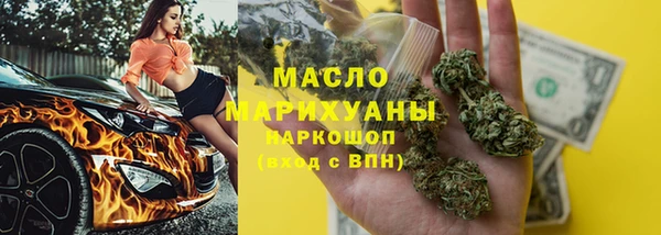 сатива Няндома