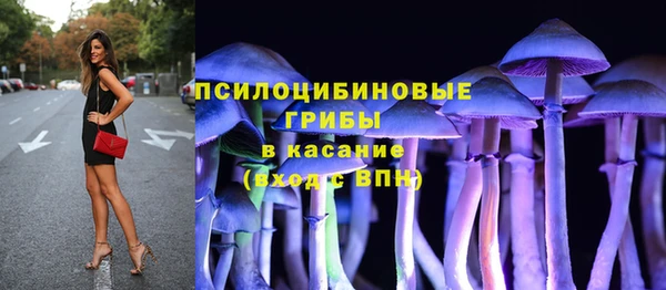 сатива Няндома