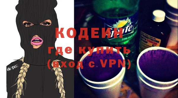 сатива Няндома