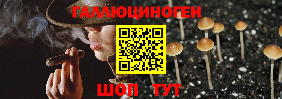 Псилоцибиновые грибы Magic Shrooms Зима
